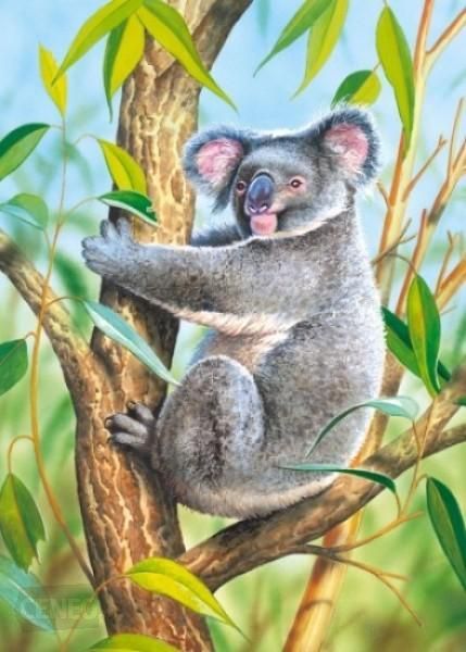 Koala Castorland - 120 stukjes - Legpuzzel