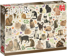 Afbeelding in Gallery-weergave laden, Kattenposter Jumbo Premium - 1000 stukjes - Legpuzzel