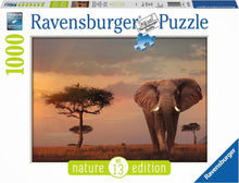 Afbeelding in Gallery-weergave laden, Ravensburger puzzel Olifant in het Masai Mara - Legpuzzel - 1000 stukjes