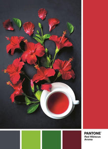 Red Hibiscus Clementoni Pantone Puzzel Collectie- 1000 stukjes - Legpuzzel