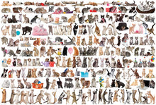 Afbeelding in Gallery-weergave laden, The World of Cats Eurographics - 2000 stukjes - Legpuzzel
