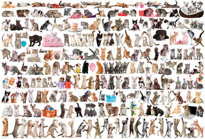 The World of Cats Eurographics - 2000 stukjes - Legpuzzel